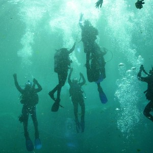 Sea Cadet Dive
