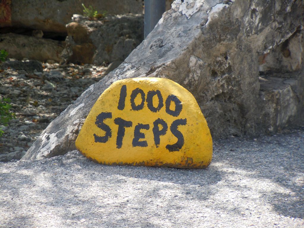 1000_steps