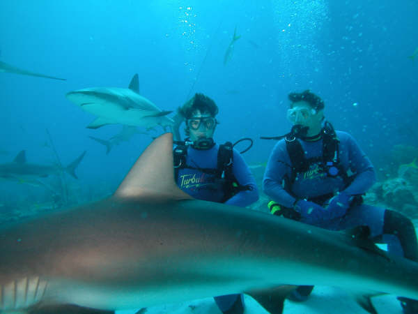 2004 April - Nassau shark dive