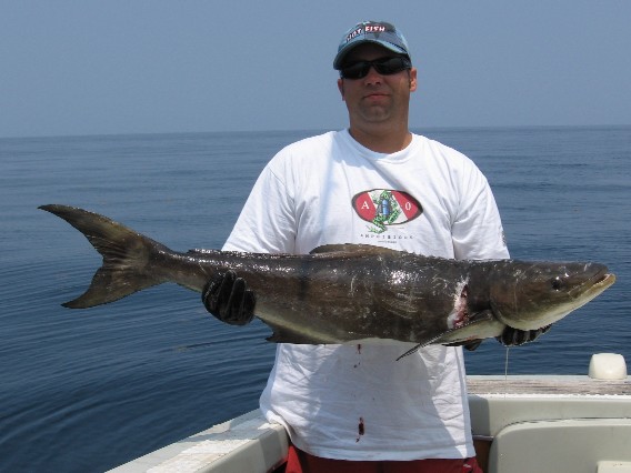 25# Ling/Cobia