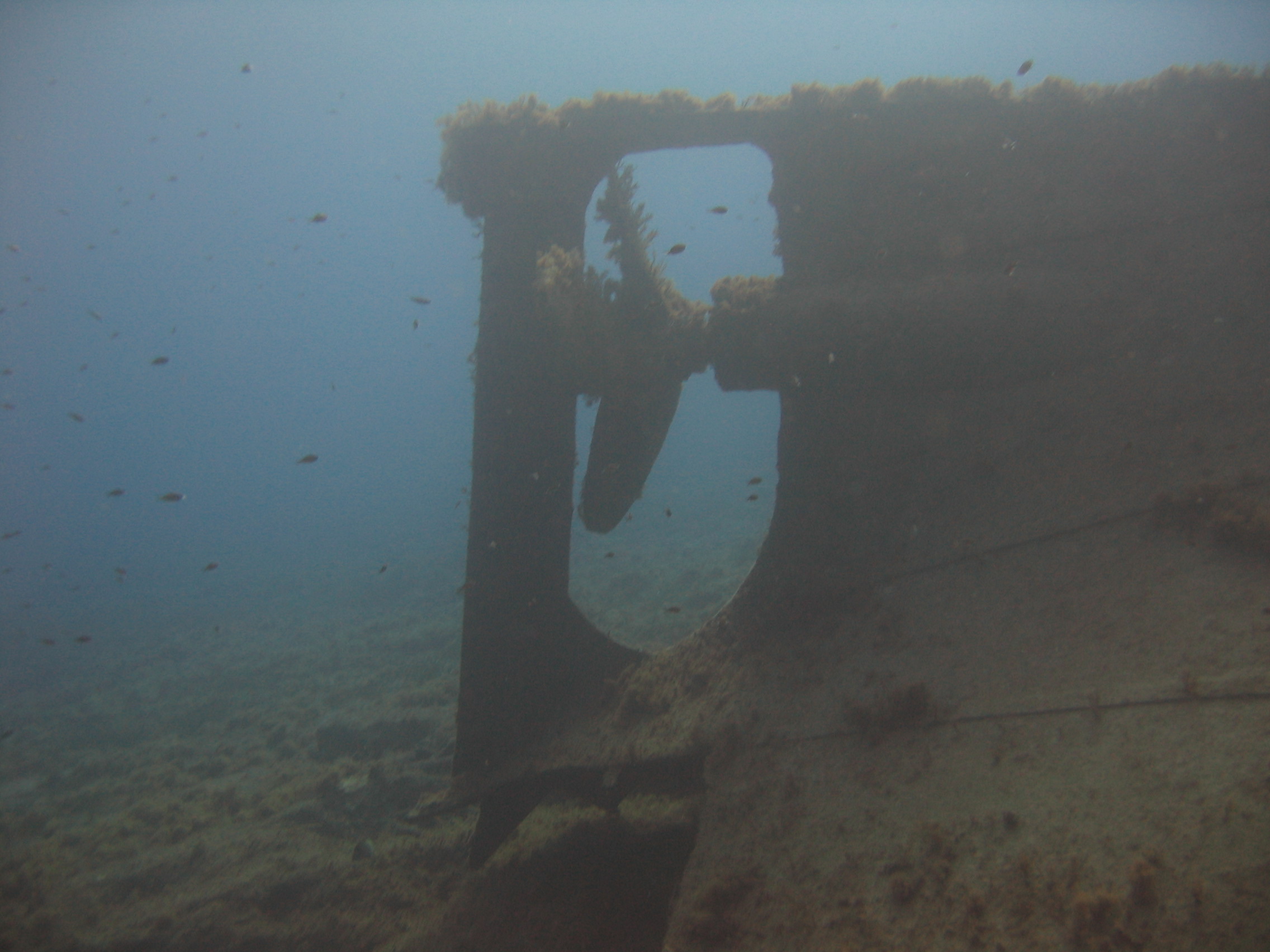 Achileas wreck, Paphos, Cyprus