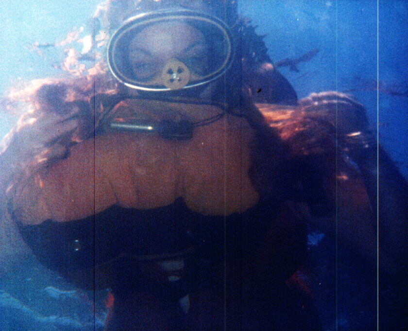 All weather Diving, we dive rain or shine, day & nite!