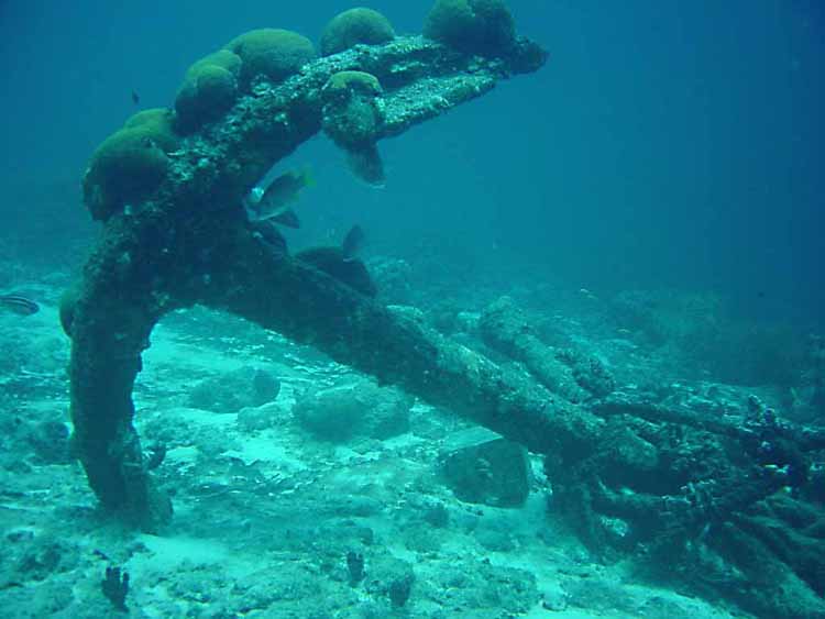 Anchor at the Divi Reef