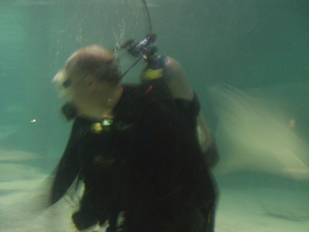 Baltimore_Aquarium_Dive_022