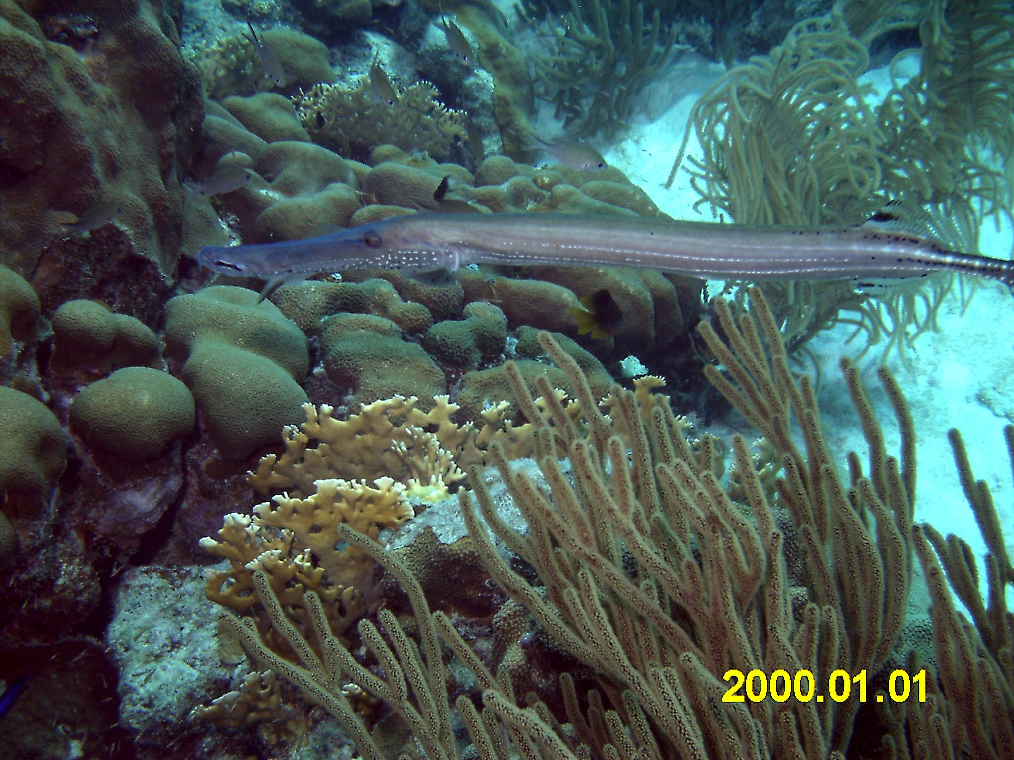 Bonaire 2005