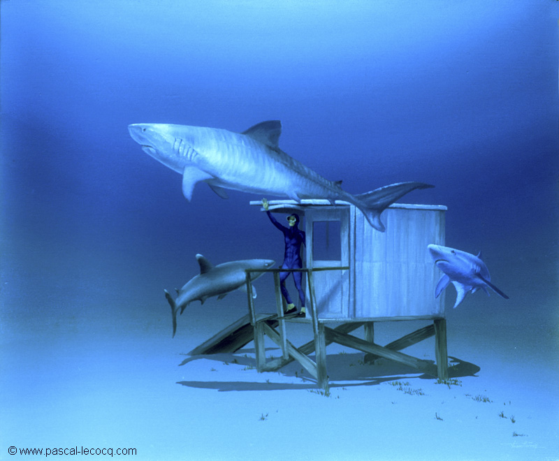 CABANE AUX REQUINS - Shark shack -by Pascal