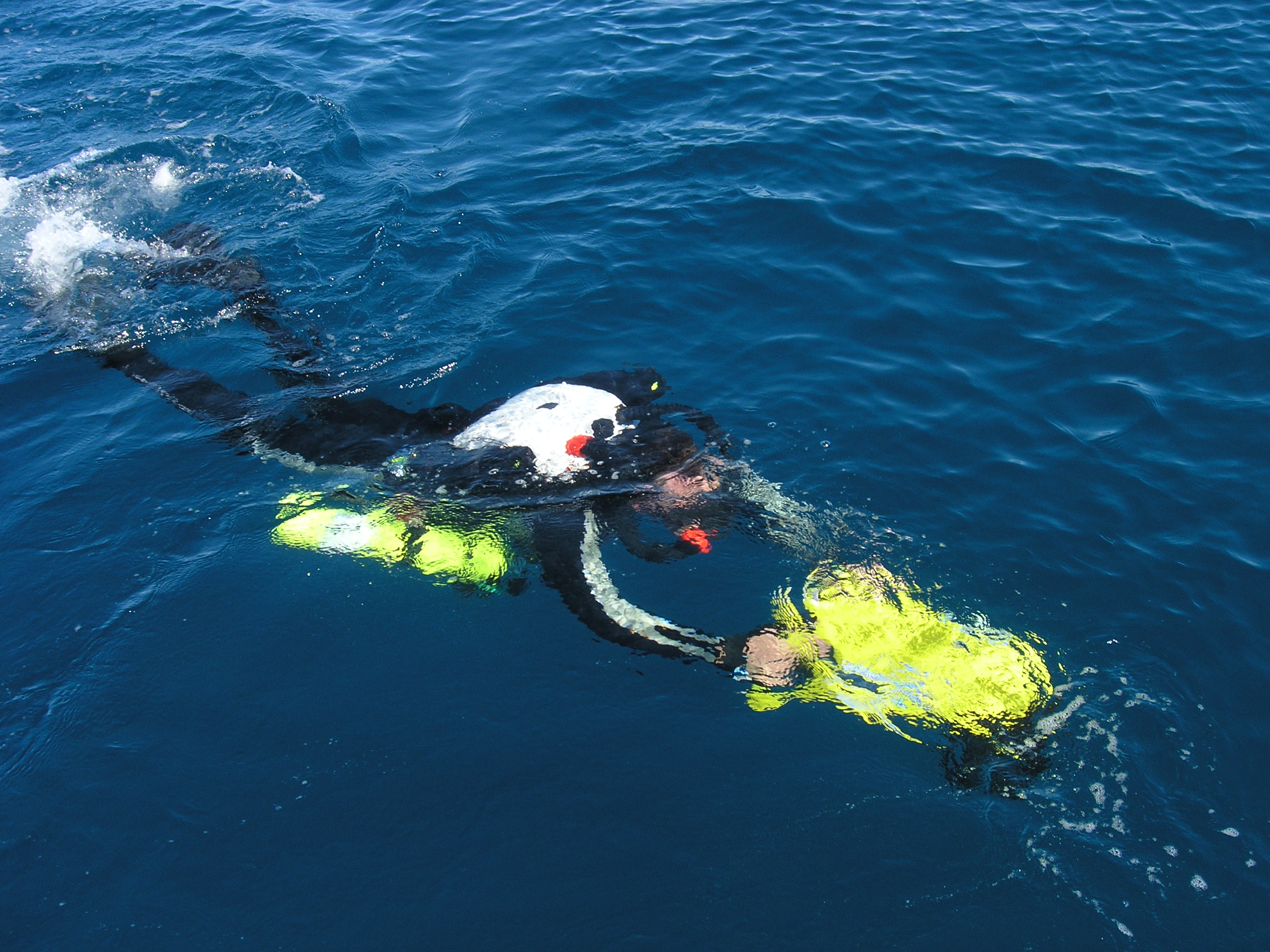 CCR Rebreather- Dolphin , Doing deep wreck