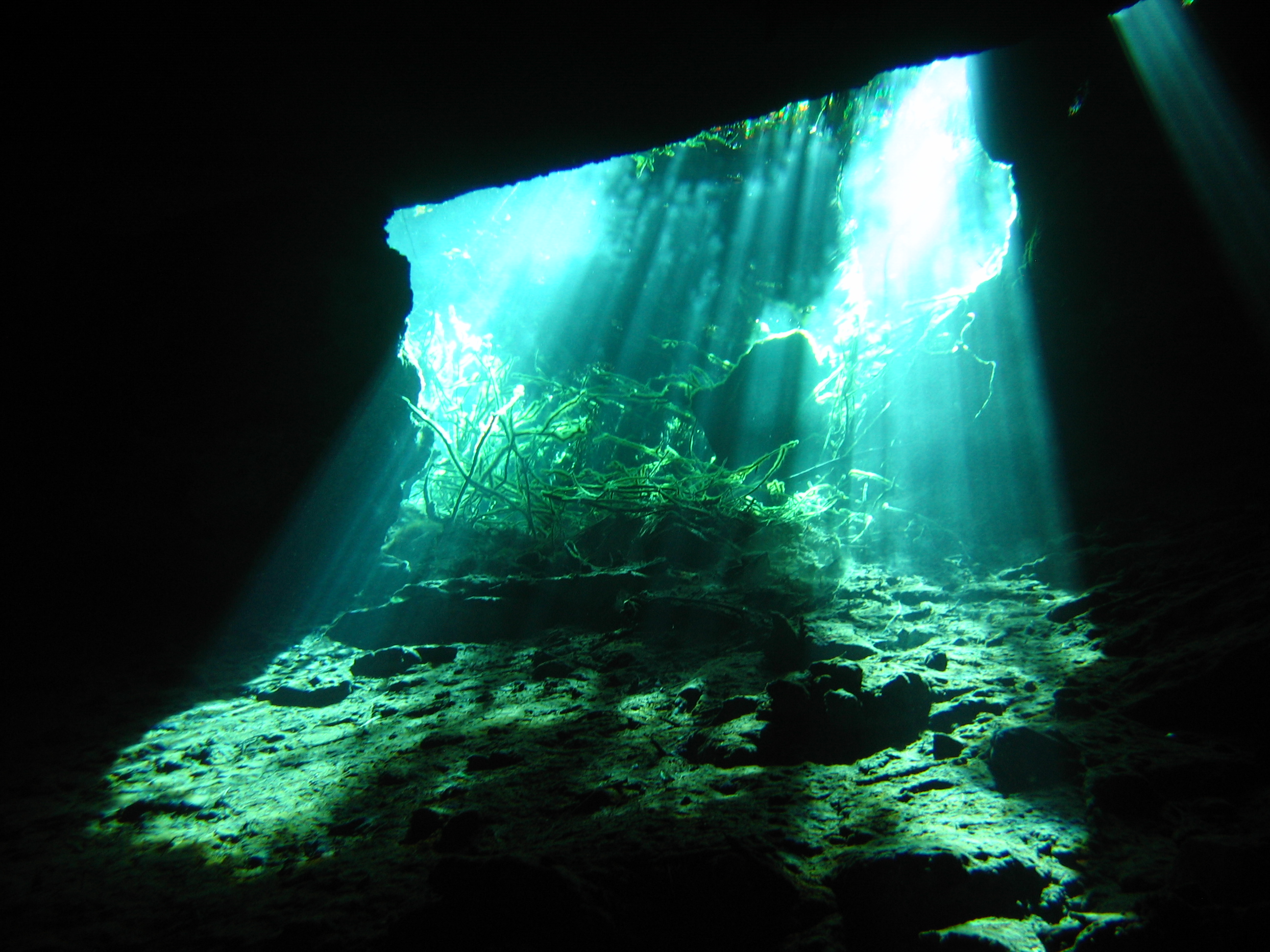 cenote and cave diving
