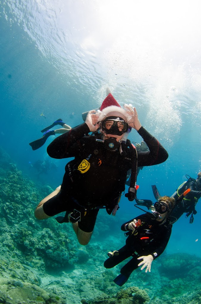 Christmas on the Great Barrier Reef
