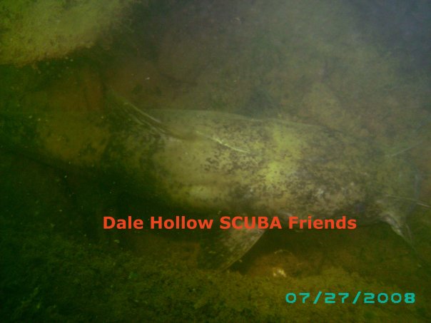 Dale Hollow SCUBA Friends Photos