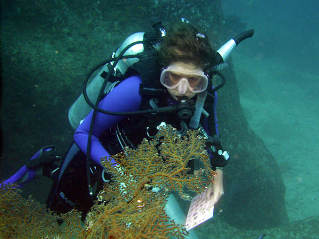 Di and the gorgonian