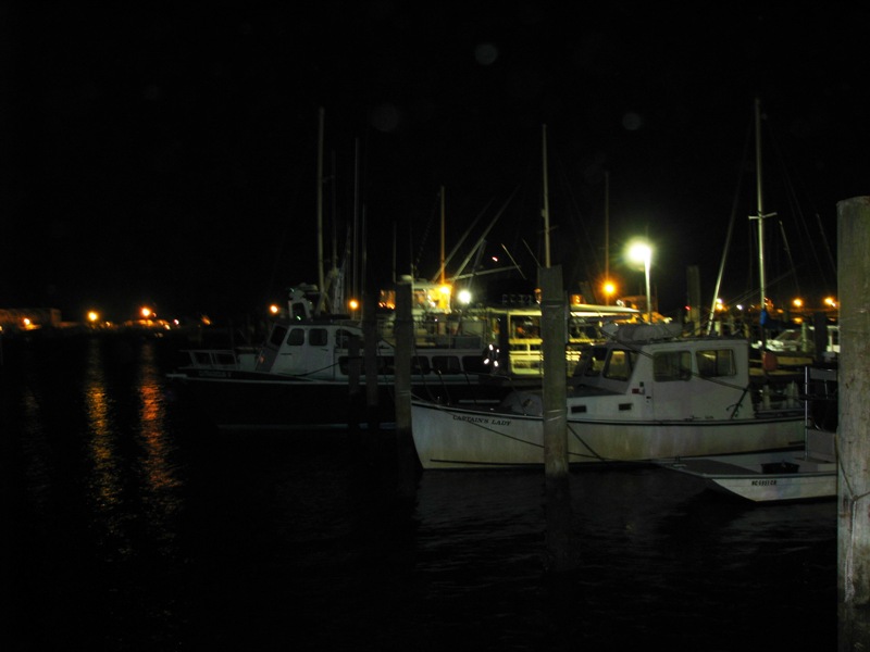 Dive boats at dock, June 28th 2008
