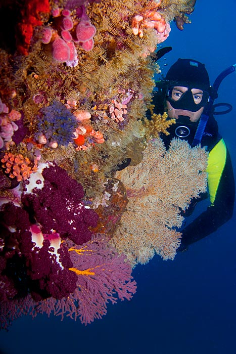 Diver at Muiron Islands