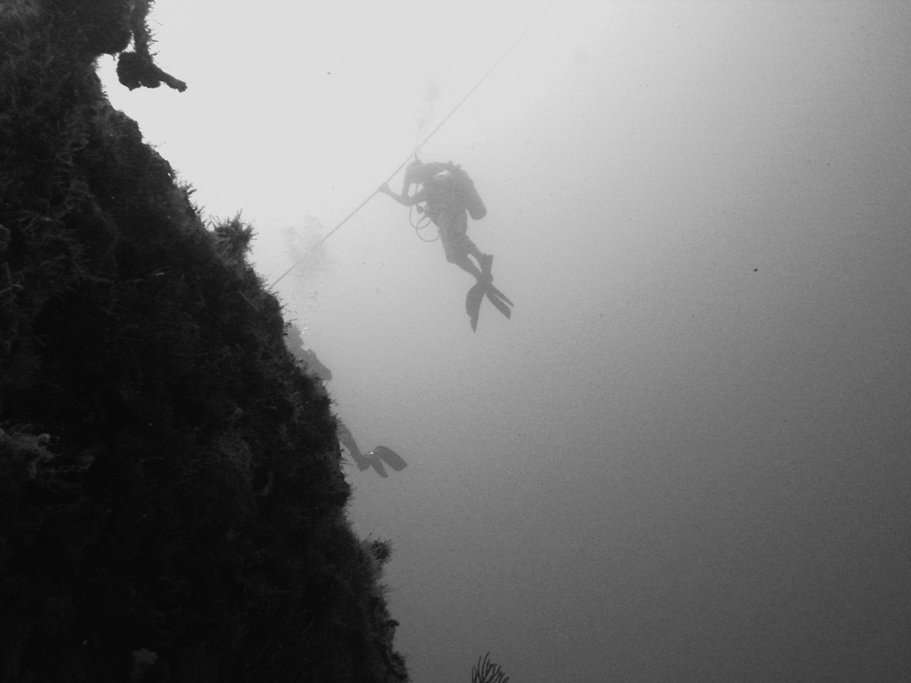 Diver on a line