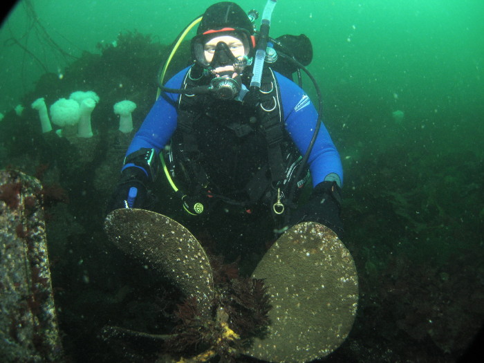 Diver Ross  from Texas