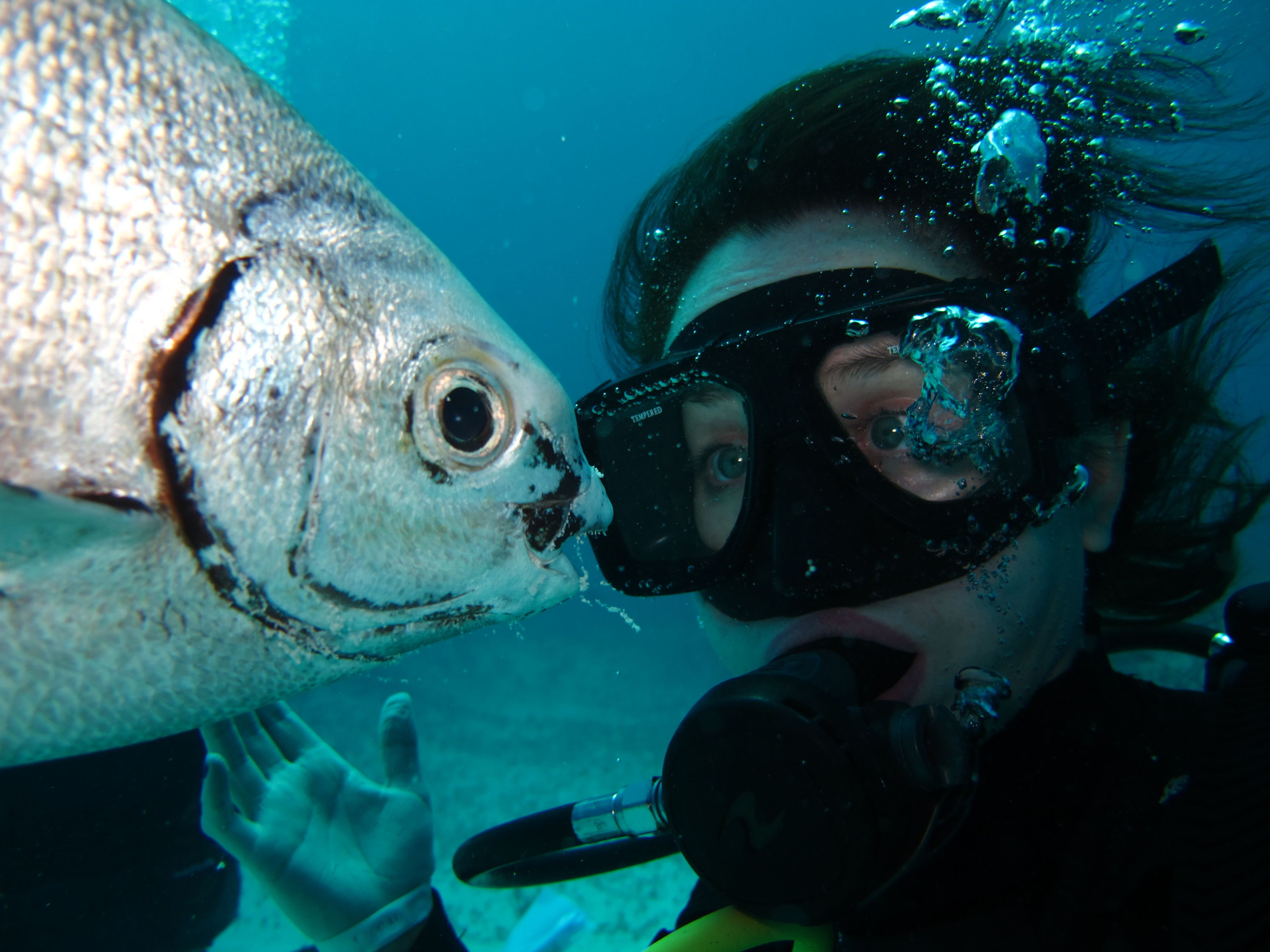 DIVER WITH FISH