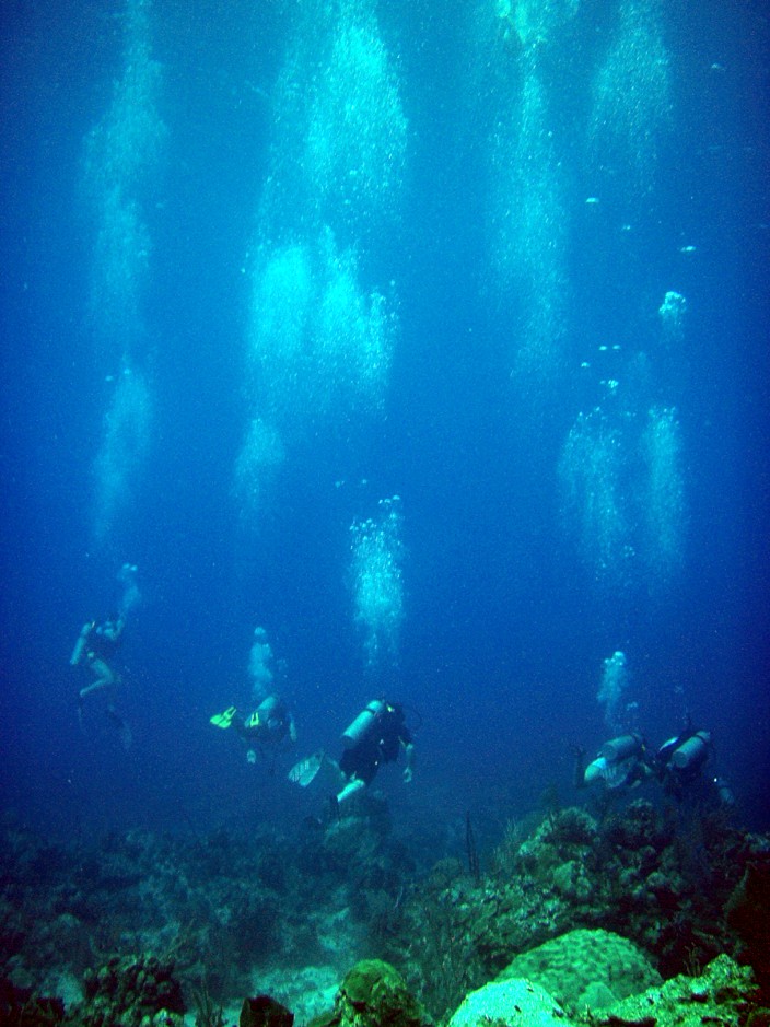 Divers diving