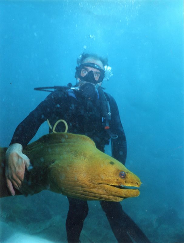 Diving Cuba / Tamish Mooray