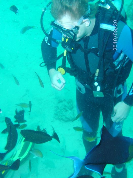 Diving in Lapu Lapu