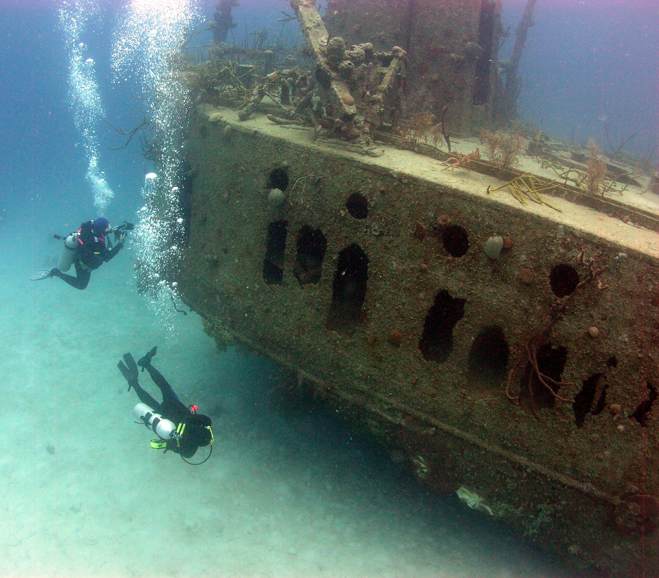 Diving In Roatan-