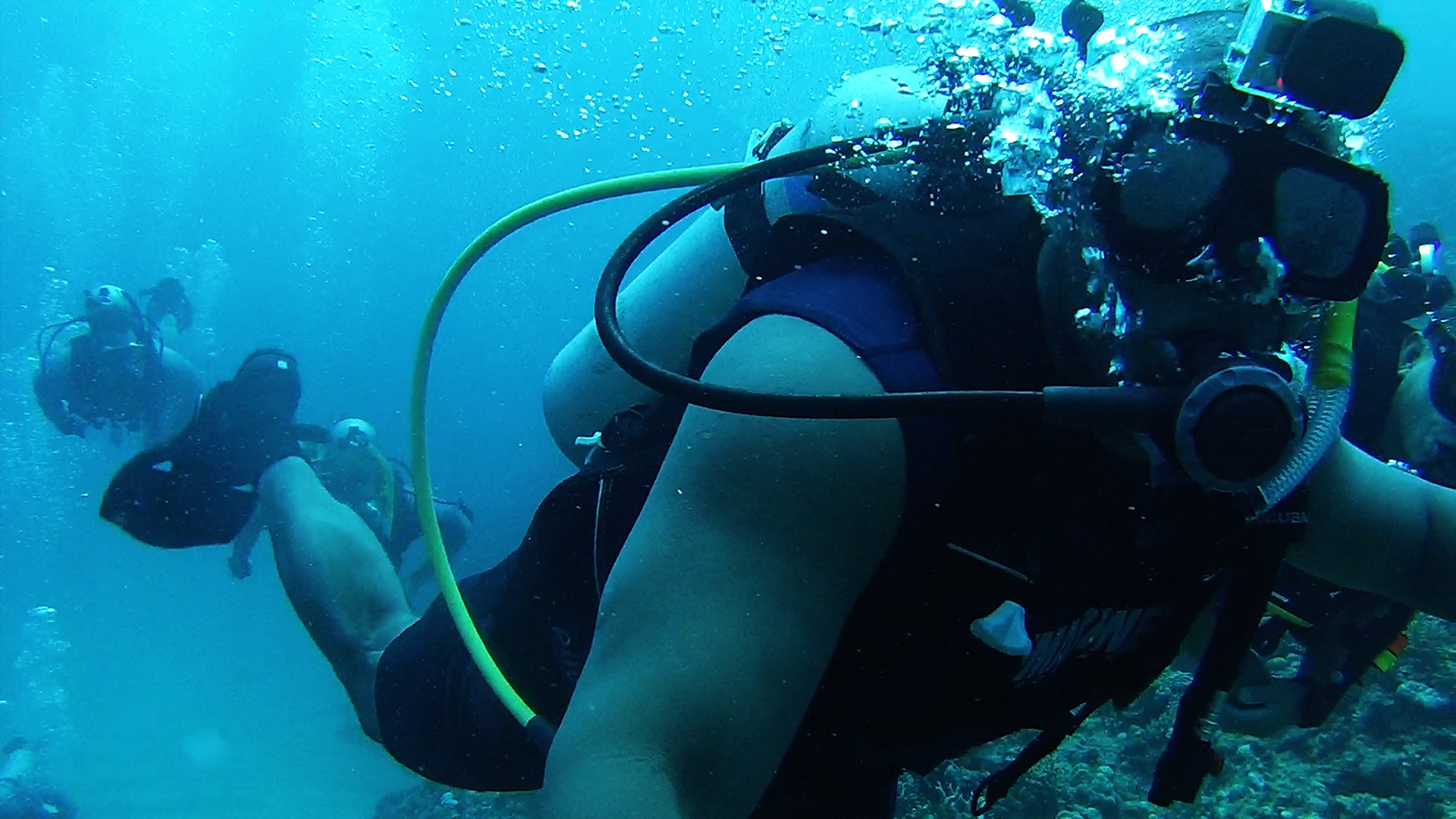 Diving the Manza Horseshoe in Okinawa Japan