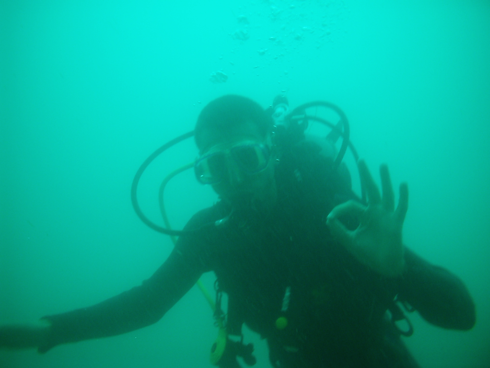Diving with my Nephews