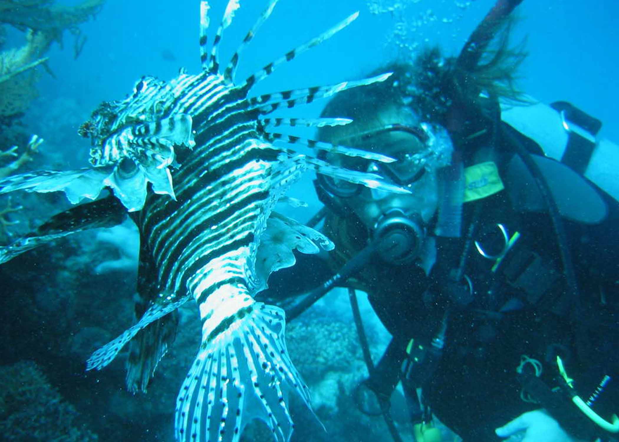 Donna and a Lion Fish
