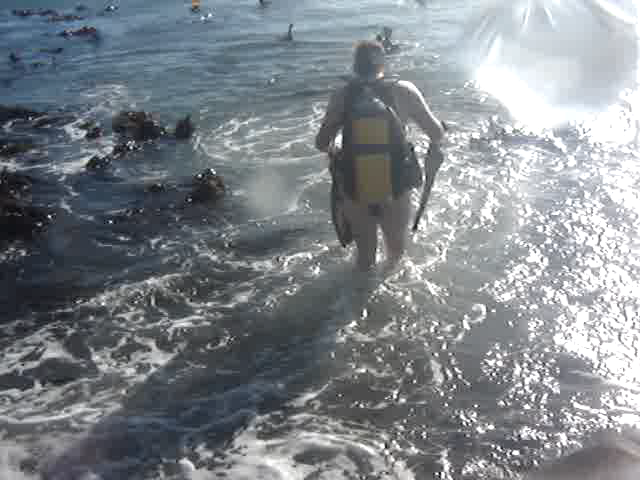 Entering the water