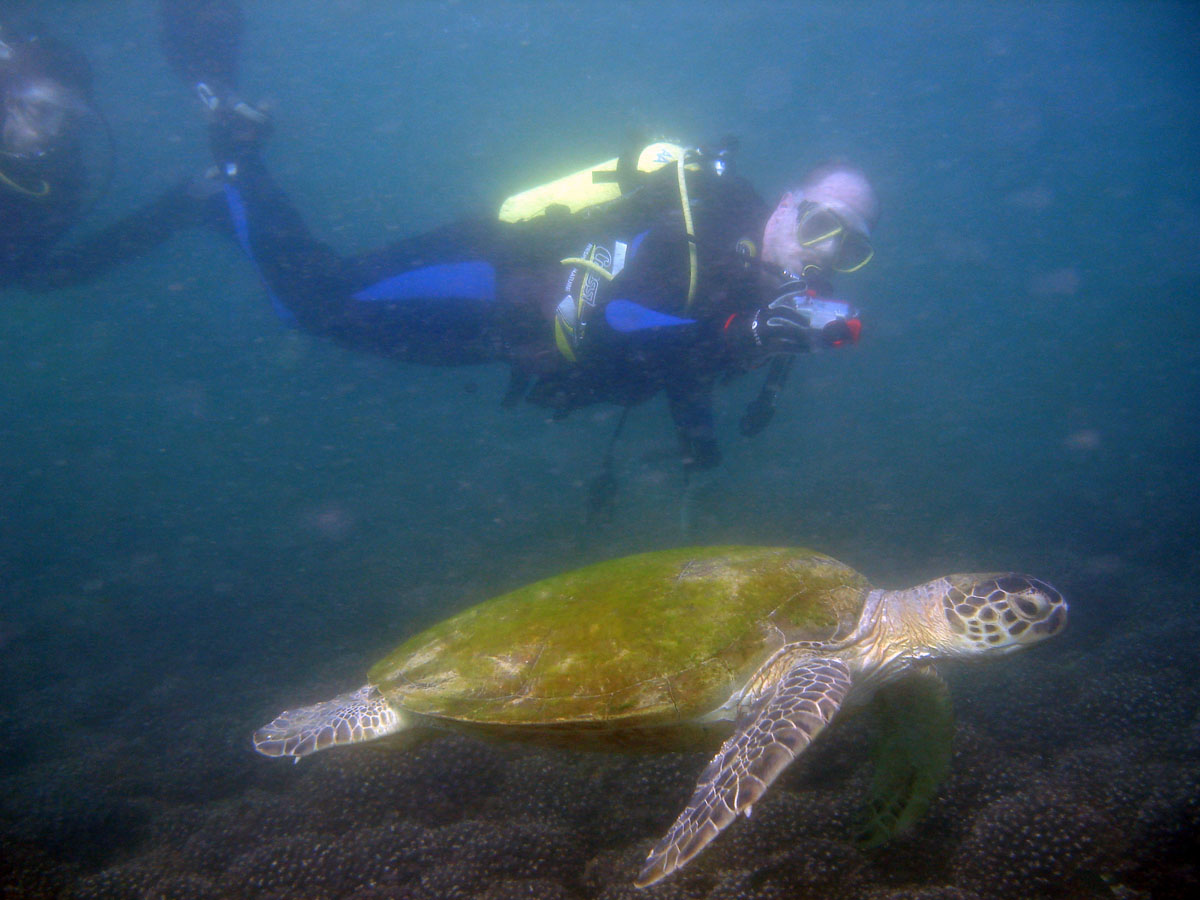 Ernst_and_anita_swiming_with_the_sea_turtle