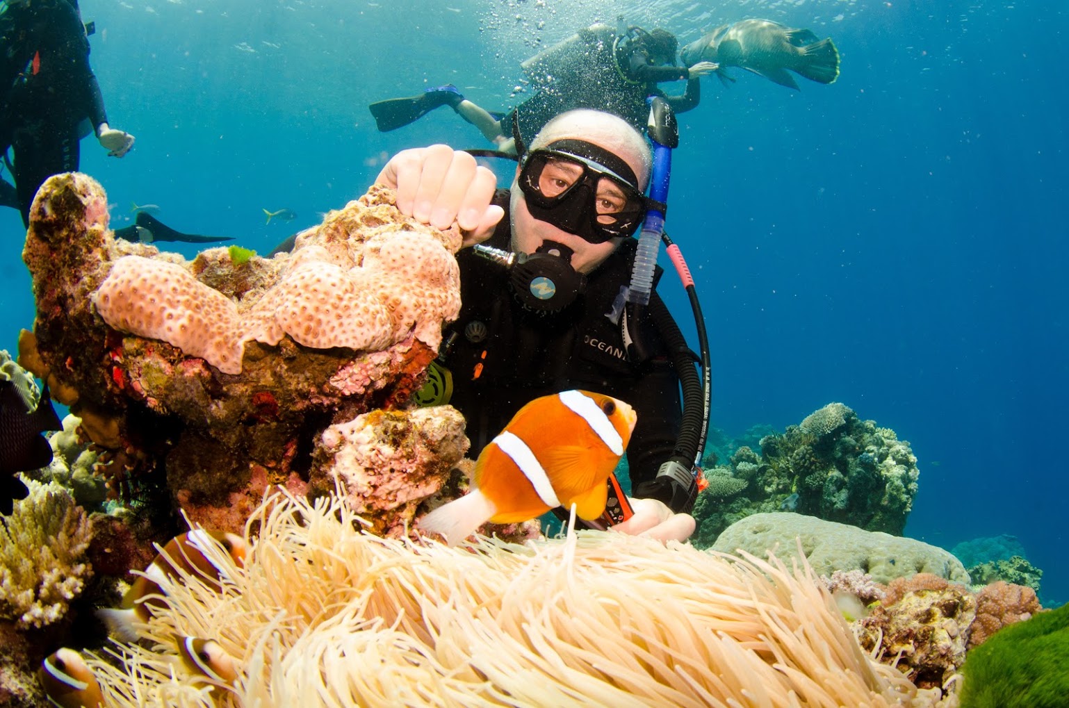 Finding Nemo - Great Barrier Reef