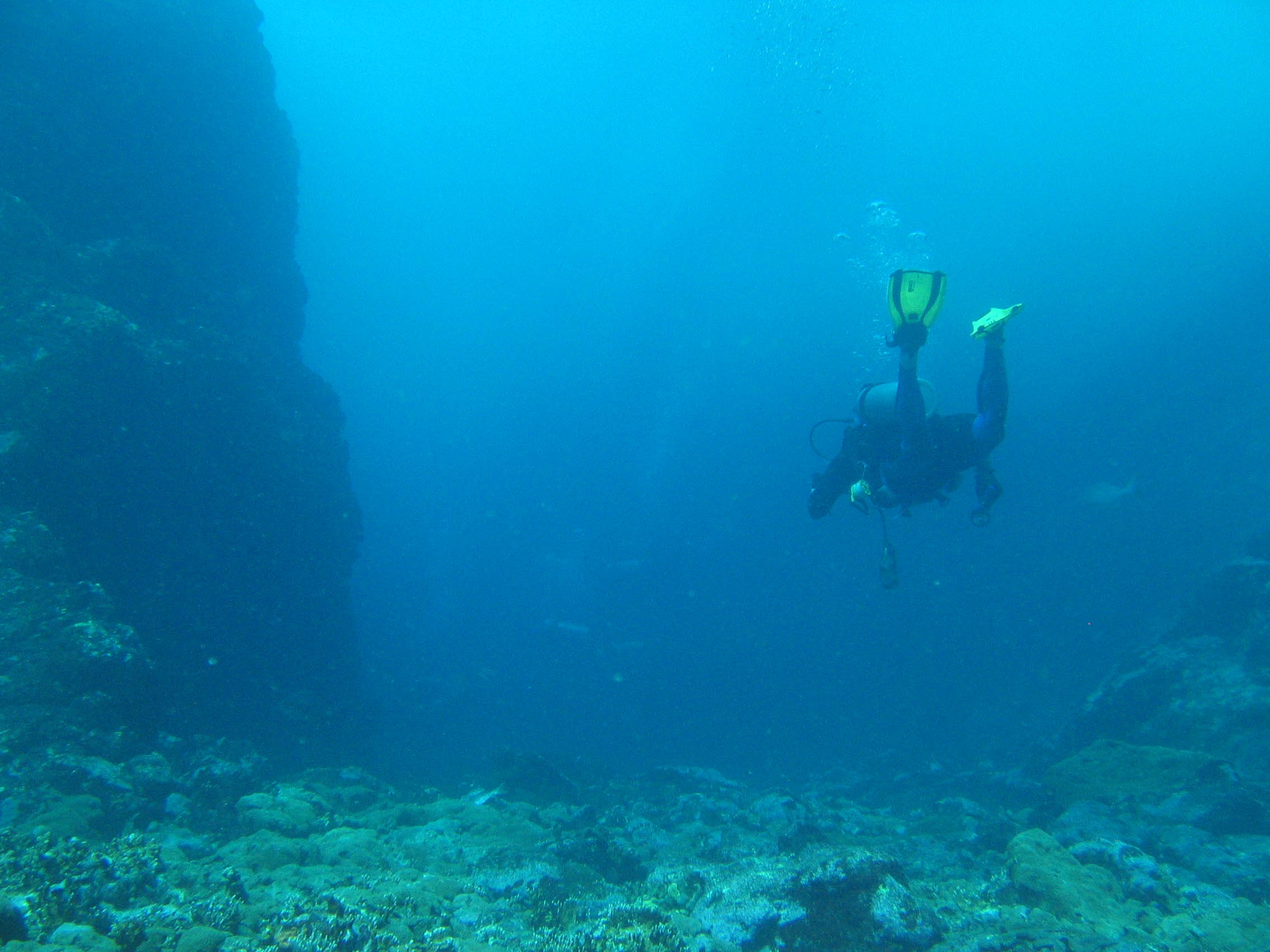 Flying Manta dive site, near Speyside, Tobago