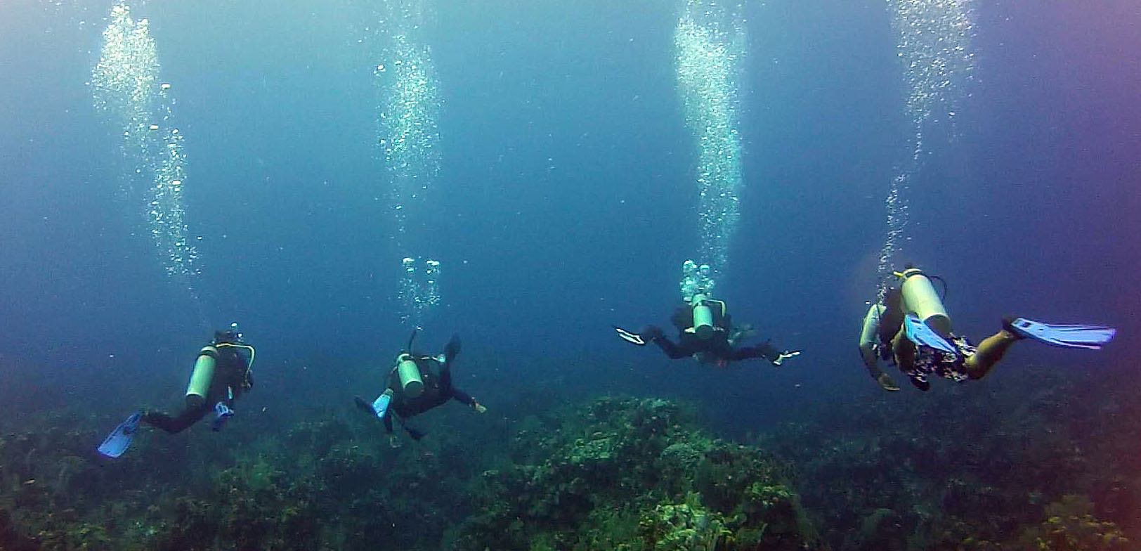 Formation Divers