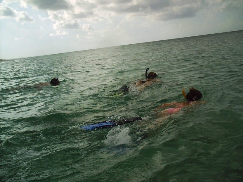 Freediving for lobsters with the girls