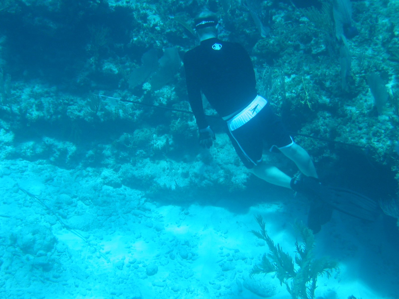 Freediving Staniel Cay