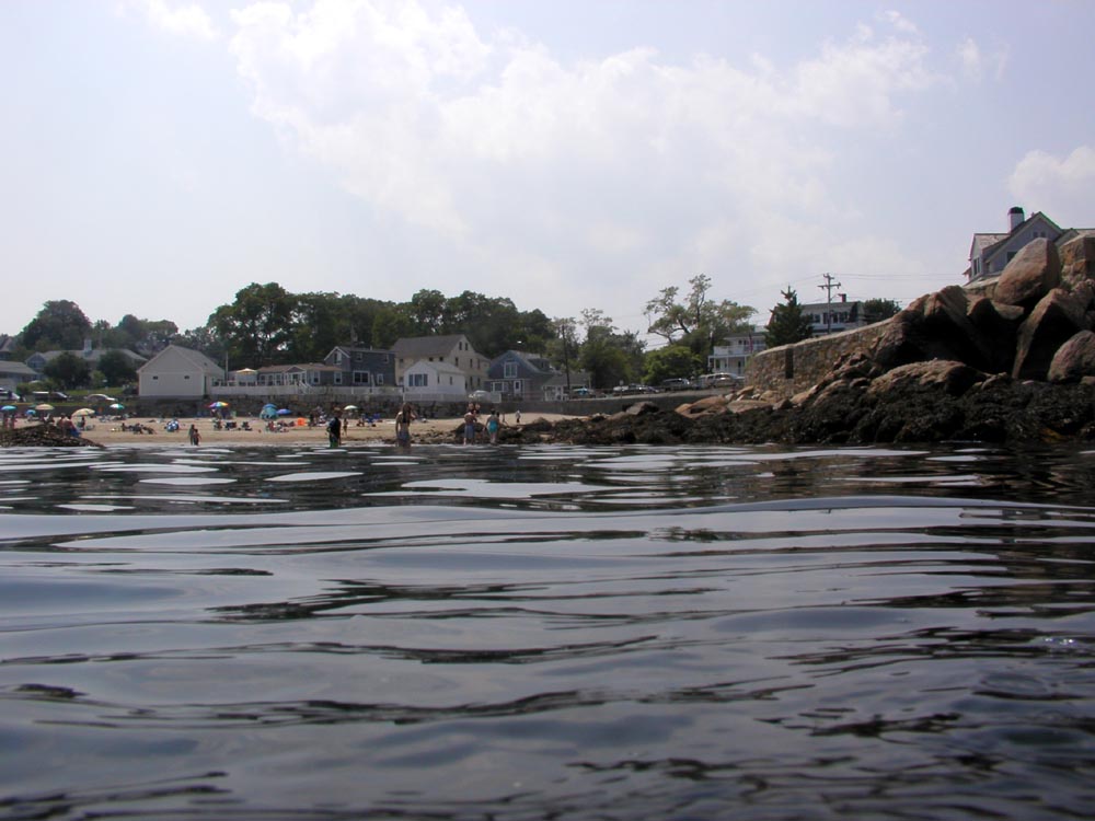 Front Beach dive, Rockport, MA 081709