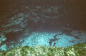 gennia spring cave diving