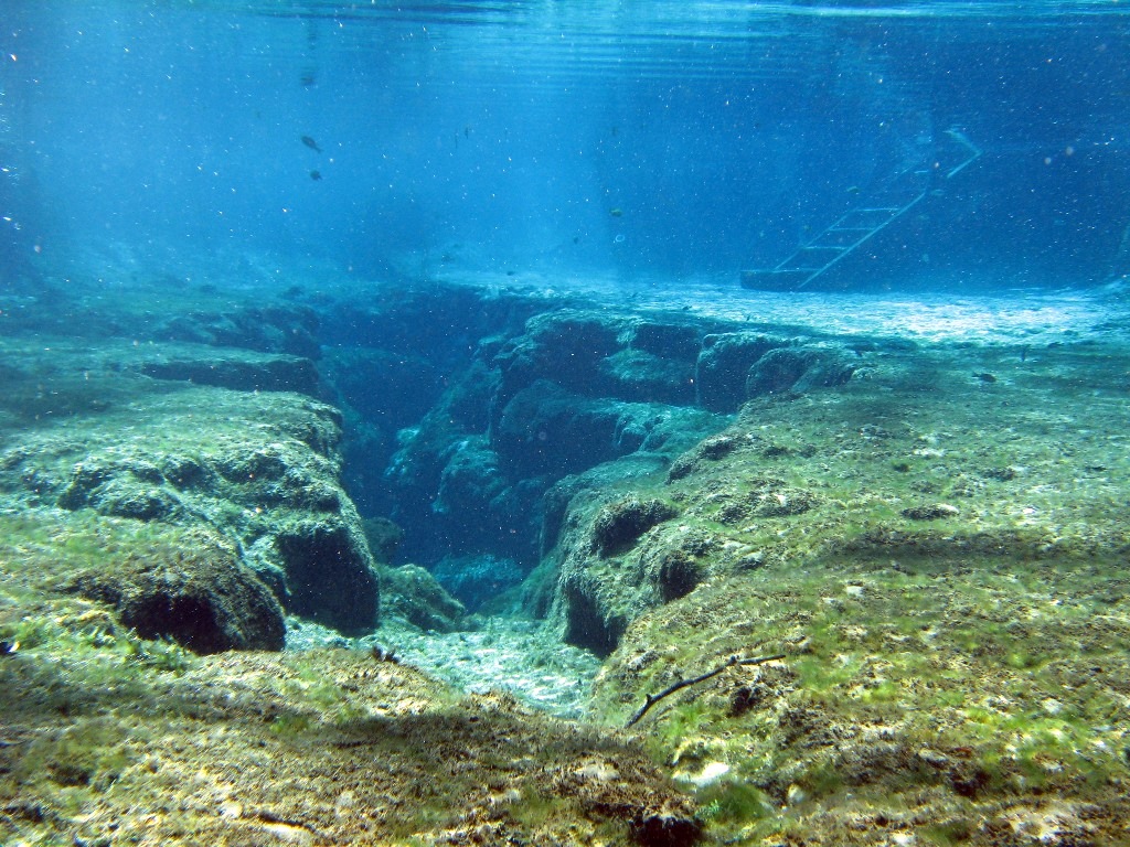 ginnie springs in March