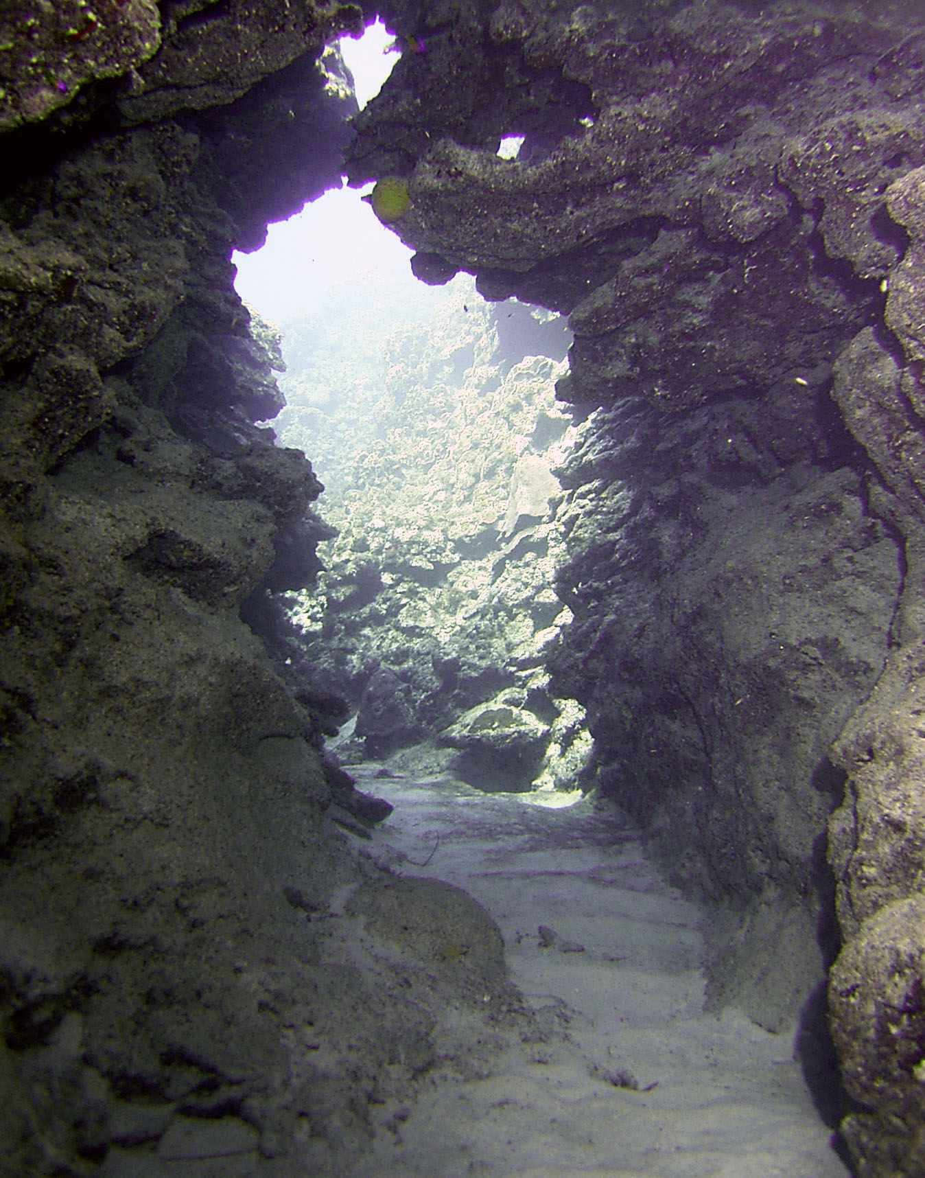 Grand_Cayman_Eden_Rock_grotto