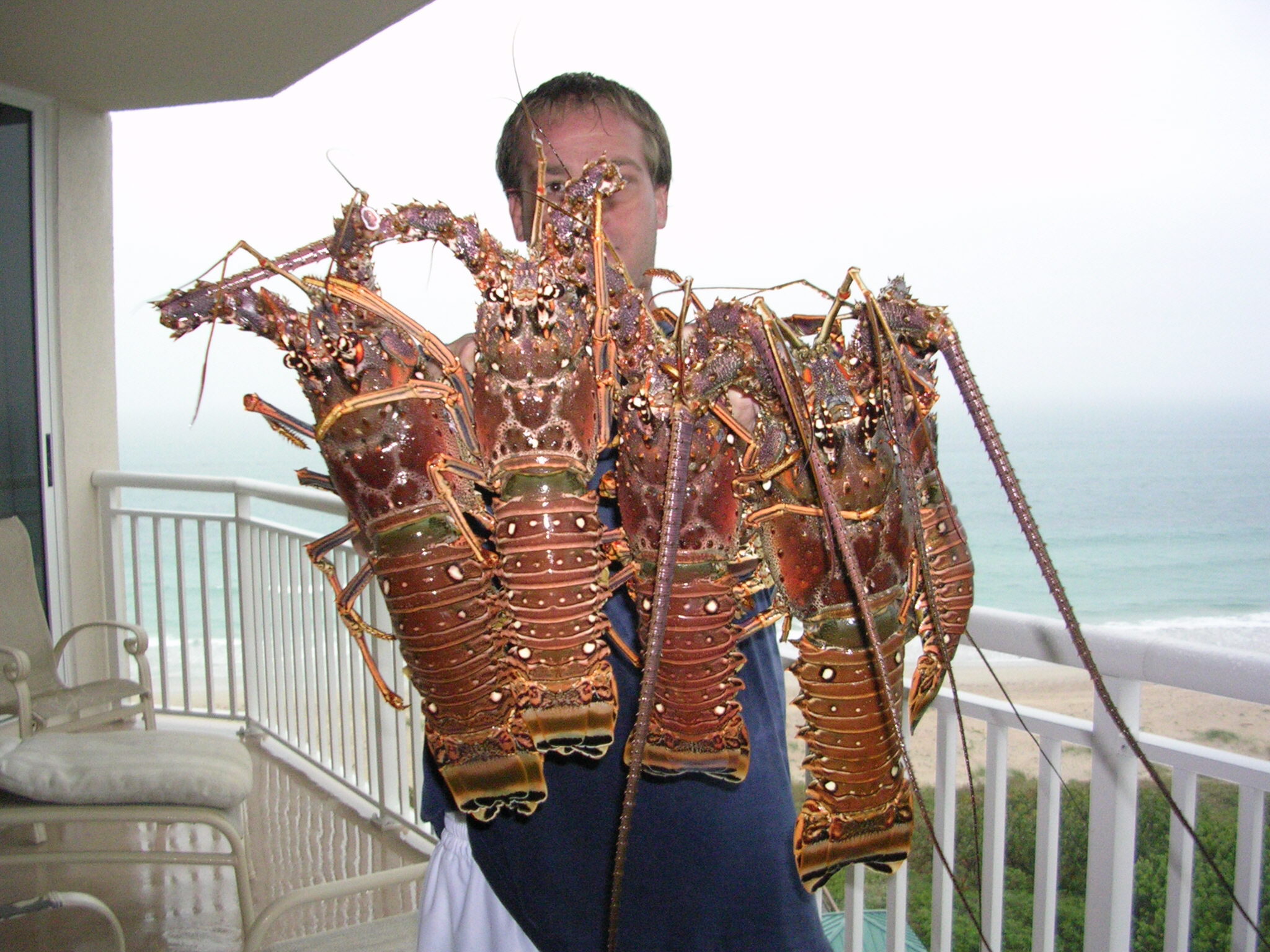 lobsterbunch