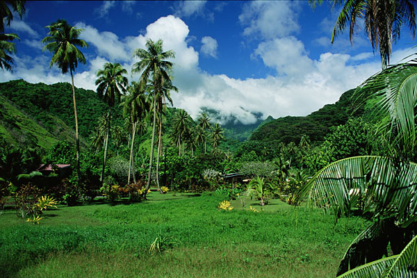 Lush Valley, Tahiti
