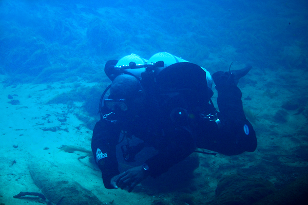 Manatee Springs Diving