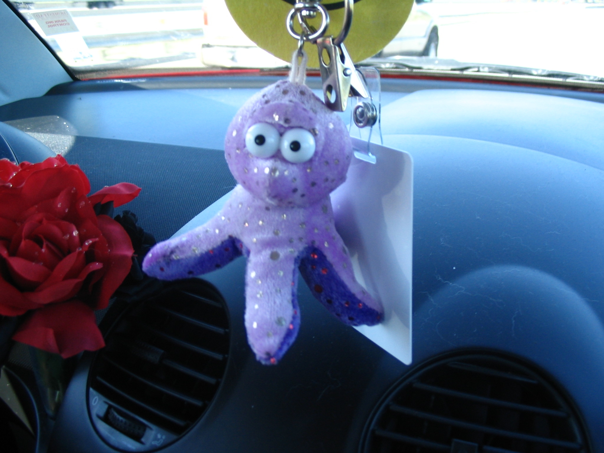 My Octo in my car :-)