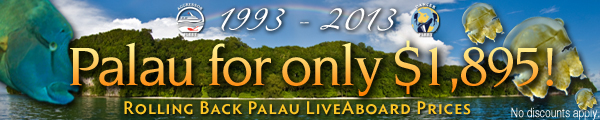 Palau 1993-2013 banner