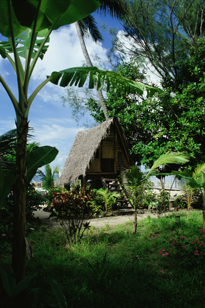 Polynesia Wedding Hut