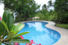 Pool @ Padre Burgos, S.Leyte