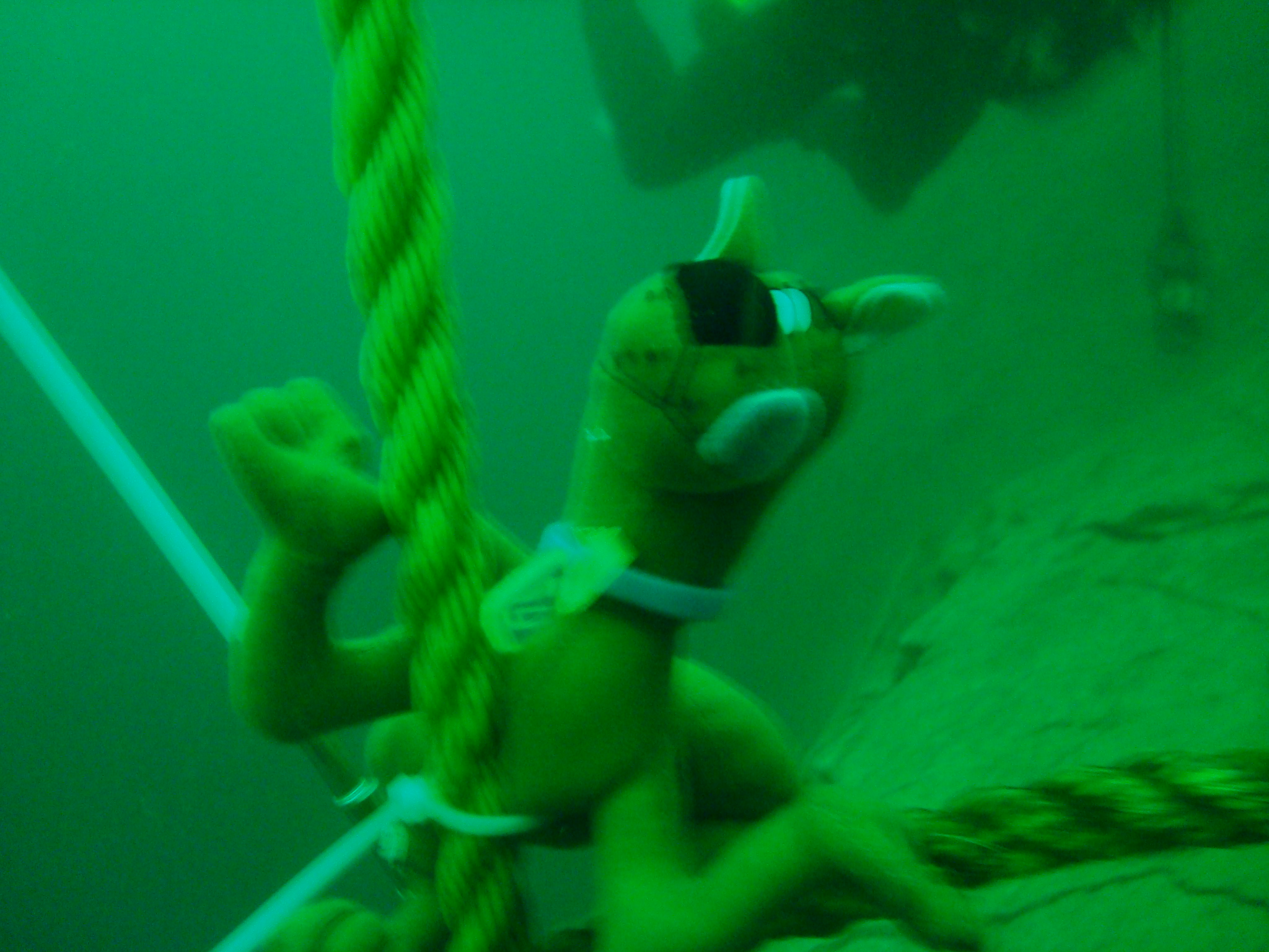 Scooby Doo In Lake Wazee  108 ft