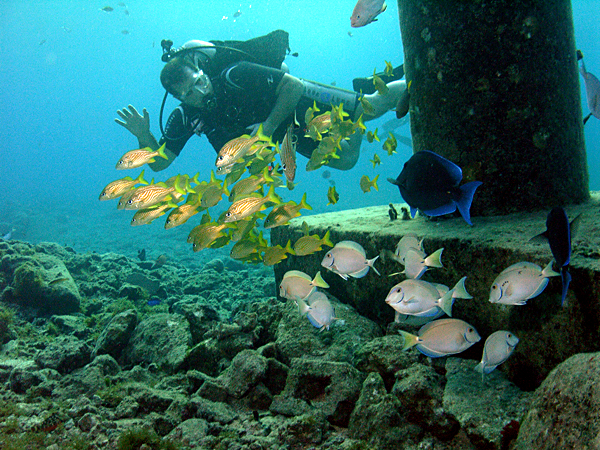 Scuba Club Cozumel house reef