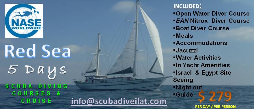 Scuba Diving Courses &amp; Chartered Yacht