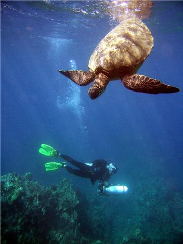 Shaka Divers Maui 11-24-09 torpedo dive five caves