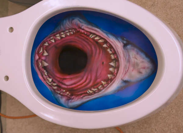 Shark Toilet - Beware!